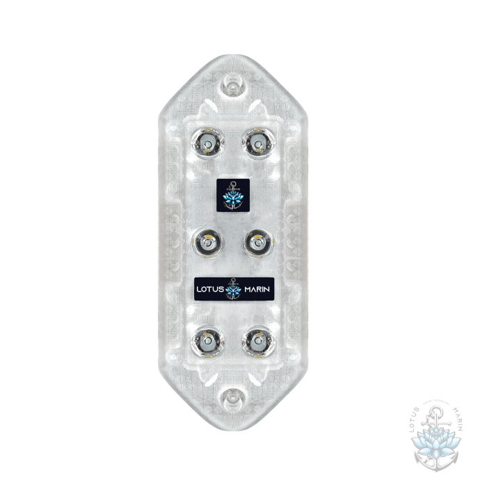 #UnderwaterLighting #LEDUnderwater #UnderwaterLEDLights #OceanLighting #AquariumLED #SubmersibleLED #UnderwaterIllumination #MarineLighting #LEDSeaLights #WaterproofLED #UnderwaterGlow #DeepSeaLED #UnderwaterLuminance #LEDSubmersion #DiveLighting #LEDLigh